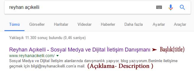 Meta Etiketleri