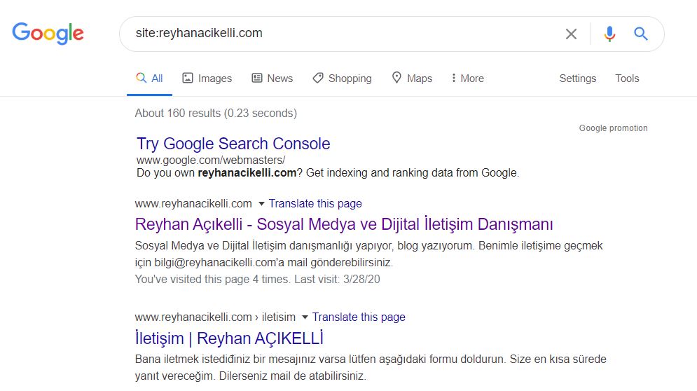 Google dizin kontrolü reyhanacikelli.com